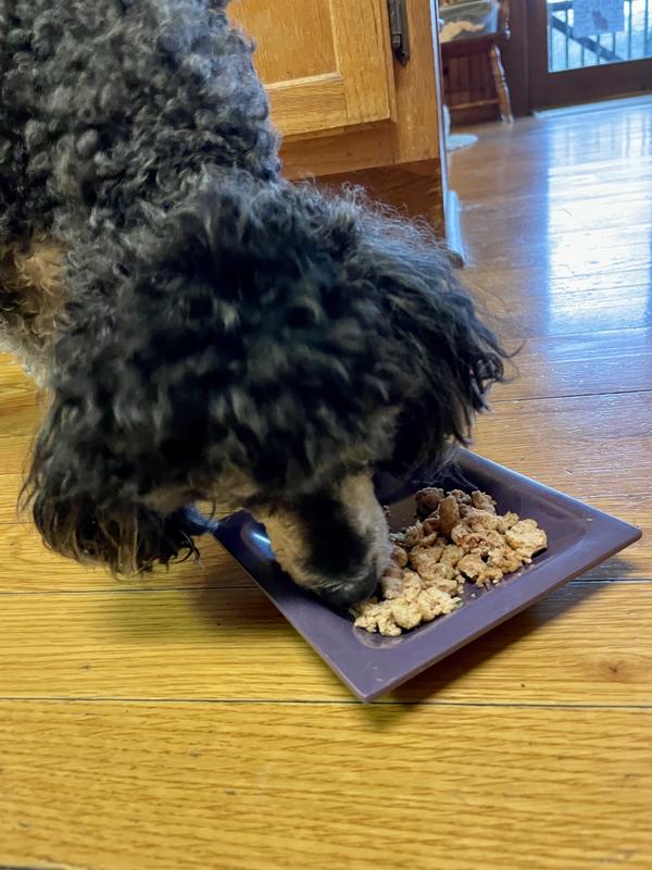 Once heated dod #2 ate them up.