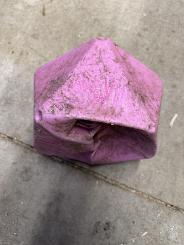 Only lasted seven months, but fun while it was alive!