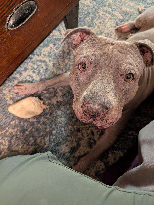 Not in her bones anymore