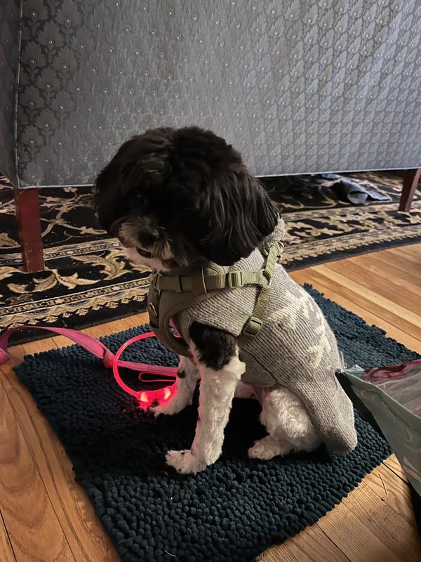 A bit tight on the rib cage but the perfect length