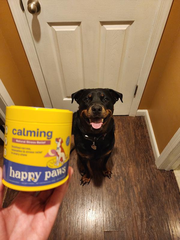 He certainly sits pretty for these treats!