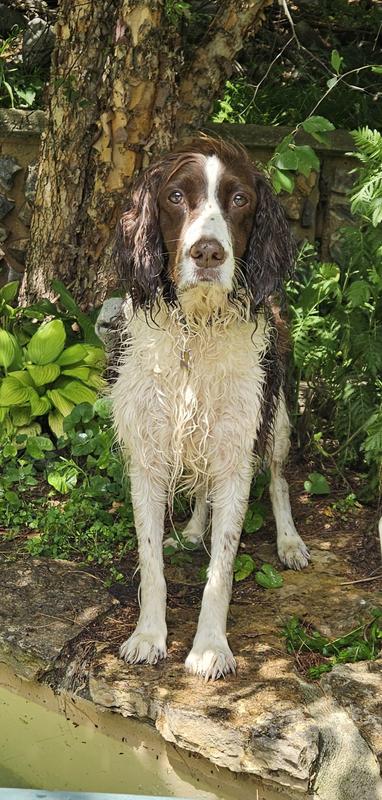 Trigger playing in/by our pond
