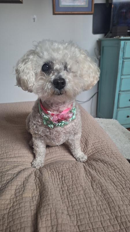 I am 14 years old !!