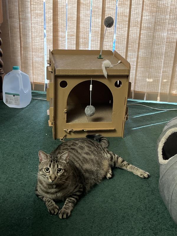 Max with his Christmas present