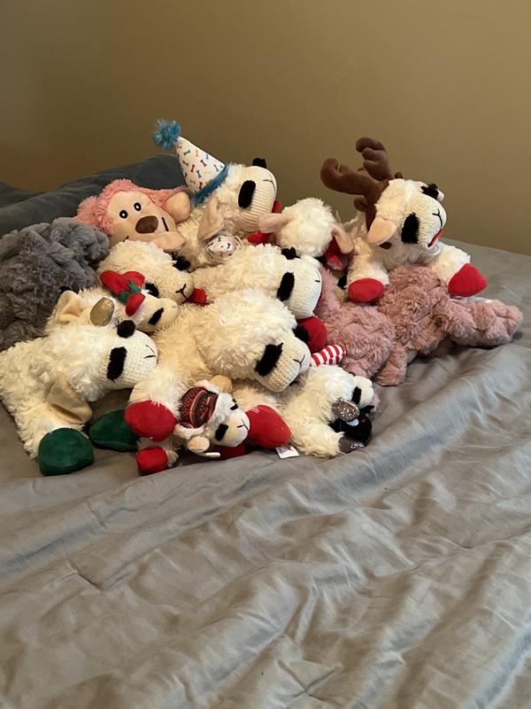 Lamb Chop haven