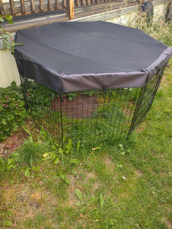 Unobstructed view of entire pen and cover from ground level