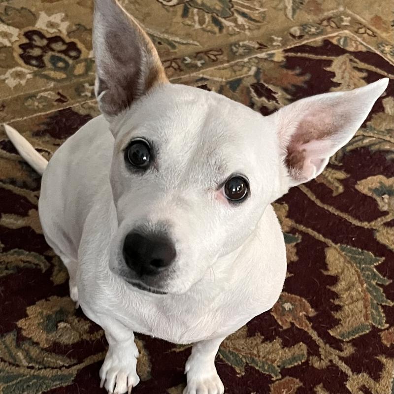 After Dr Lisa’s soothing spa.