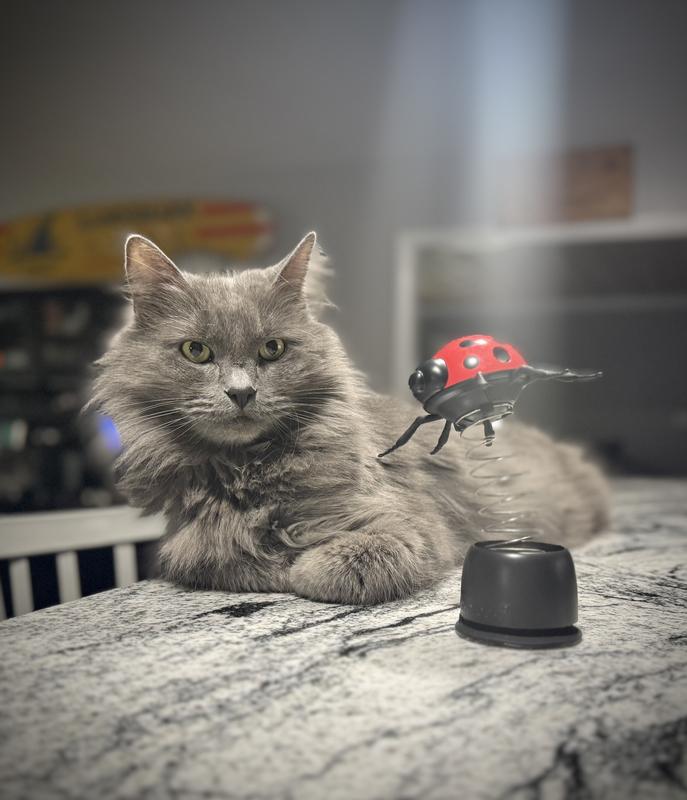 Guardian of his treat bug