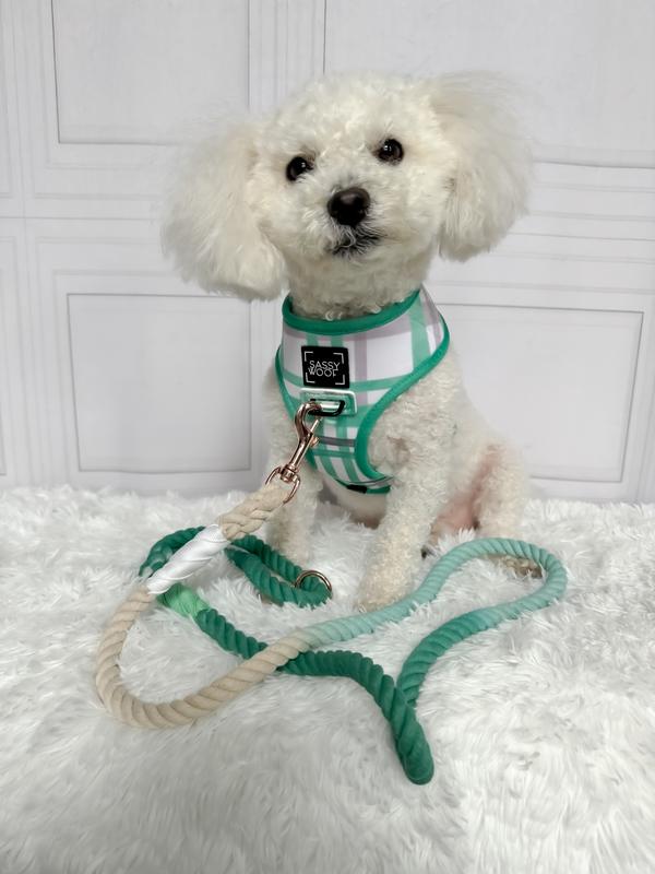 Gorgeous reversible harness