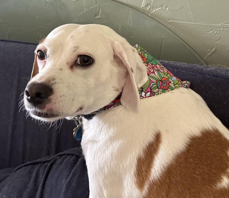 Willing to try all included parts