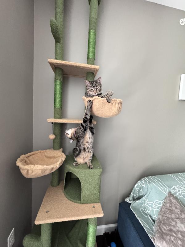 But Mom I wanted to sit there first!