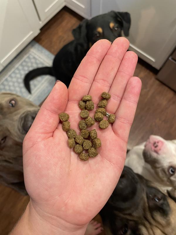 Kibble