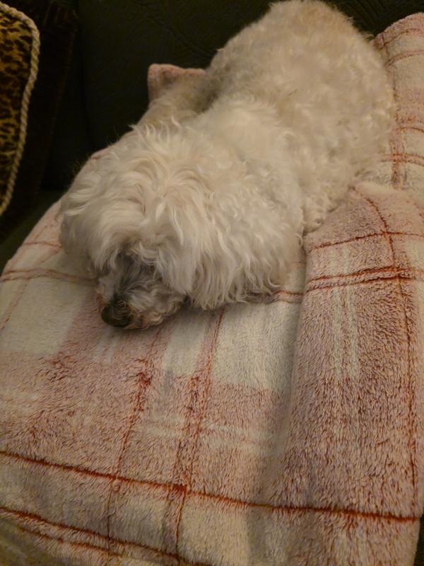 Resting quietly without that horrible cough