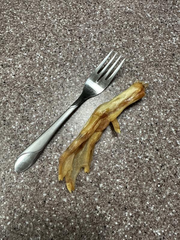 Salad fork for size comparison