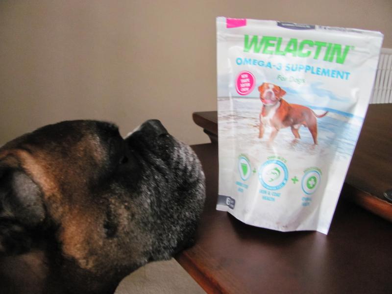 Welactin omega 3 for clearance dogs