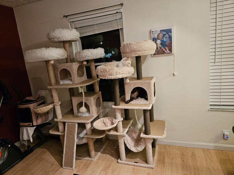Cat castle!