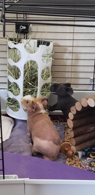 The naked and afraid! Lol