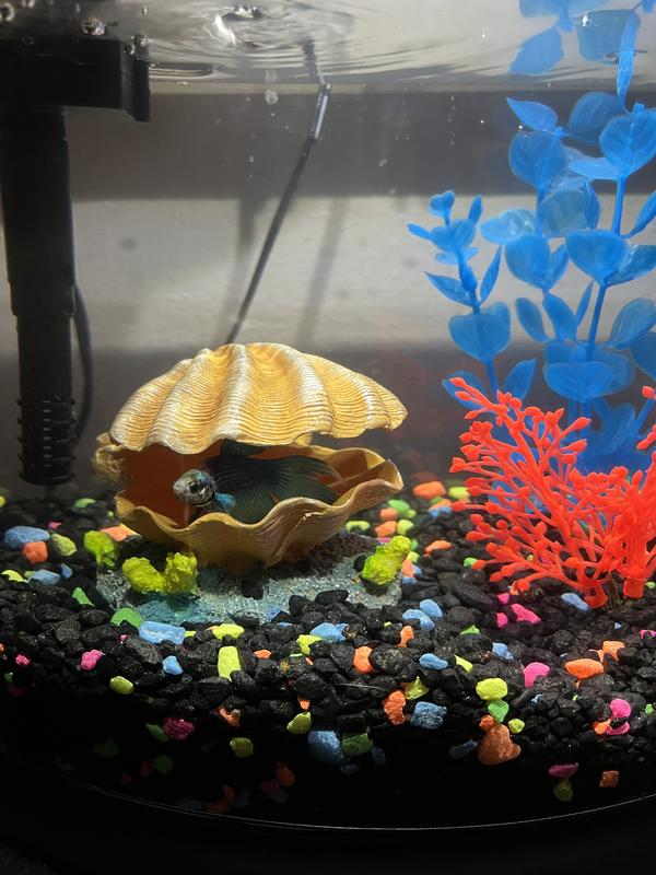 Nice for hiding and resting.