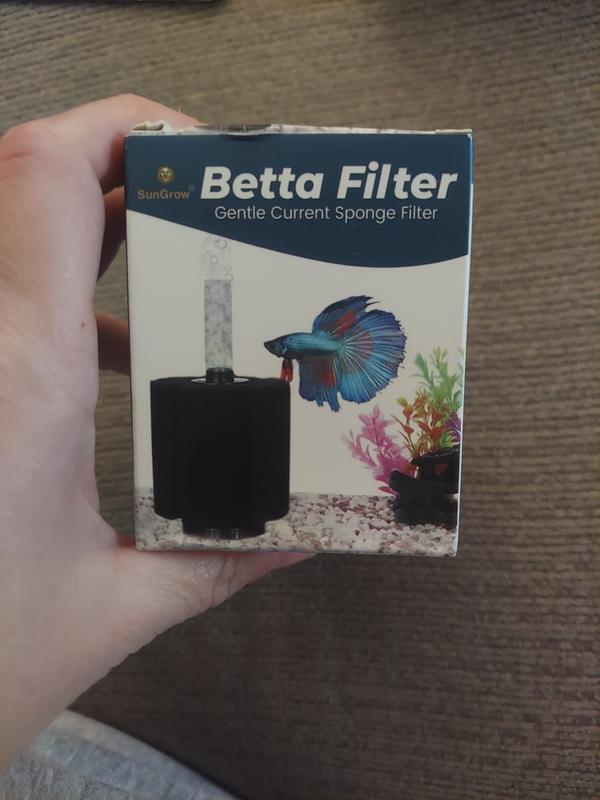 Box looks small but it's perfect size