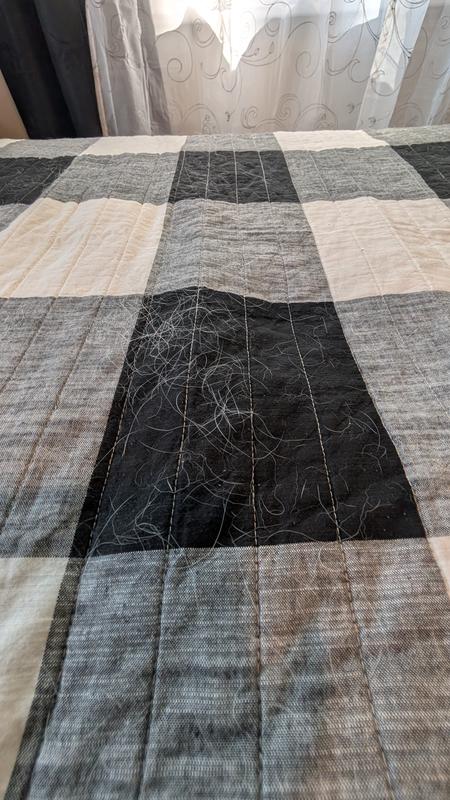 Dog hair prior to the pad.