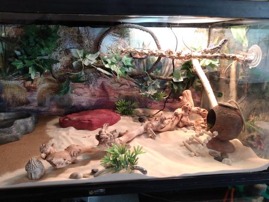 Hey house and she loves it so much