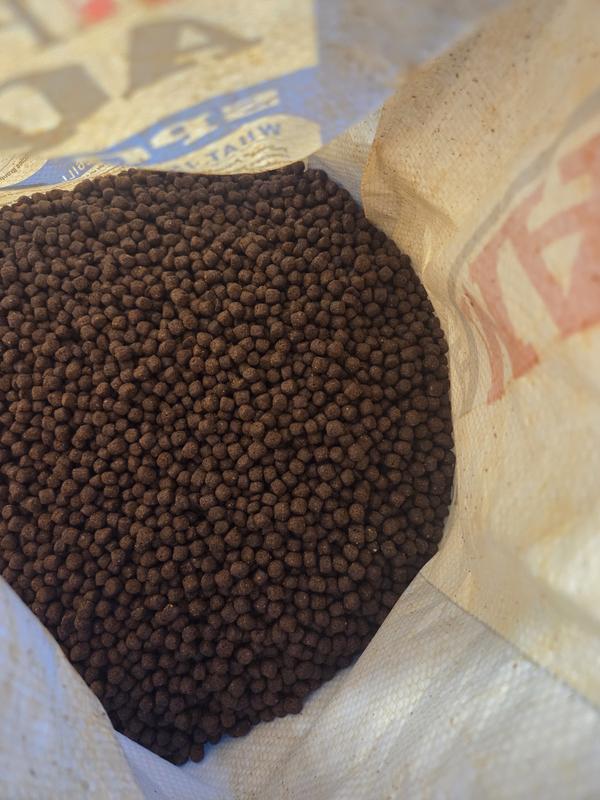 Purina AquaMax Sport Fish 600 Extruded Fish Food, 50-lb bag - Chewy.com