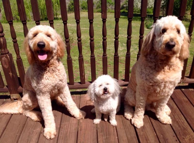 Love them too much!!!