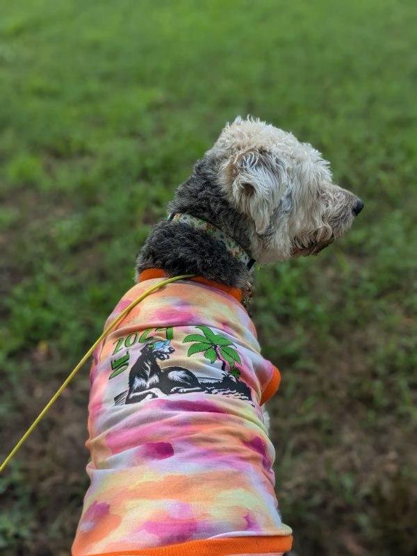 Watercolor tee customized with iron-on design