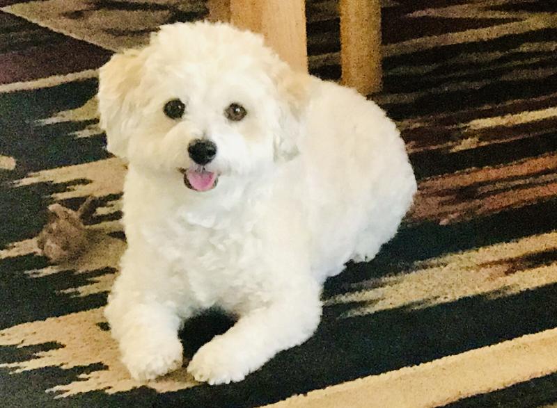 My happy bundle of joy!