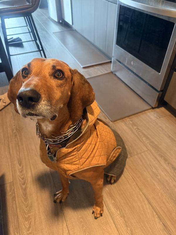 Perfect color combination for him.