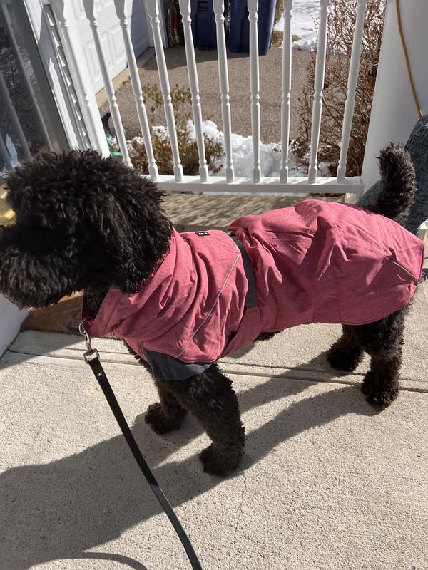 HURTTA Expedition Insulated Dog Parka, Bilberry, 16-in