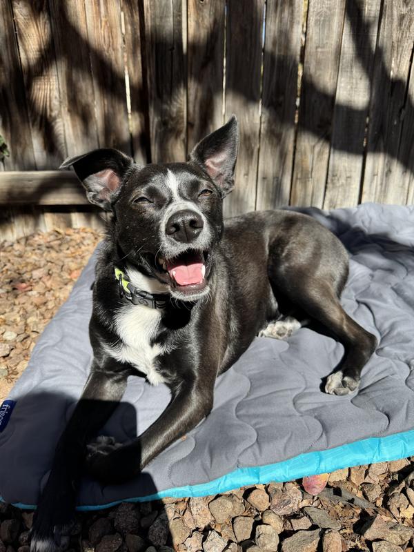 Happy boy!