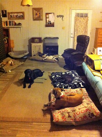 'Kickin' back after supper........