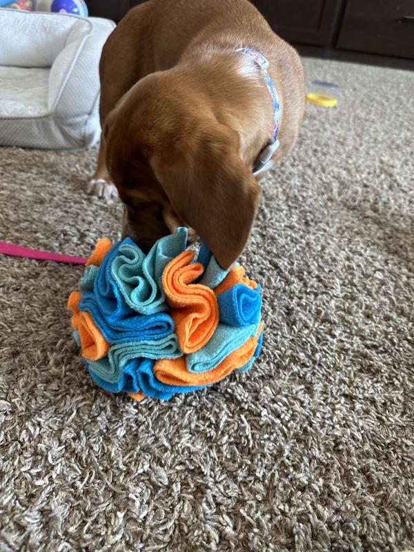 Snuffle Dog Ball – Puppy Protection