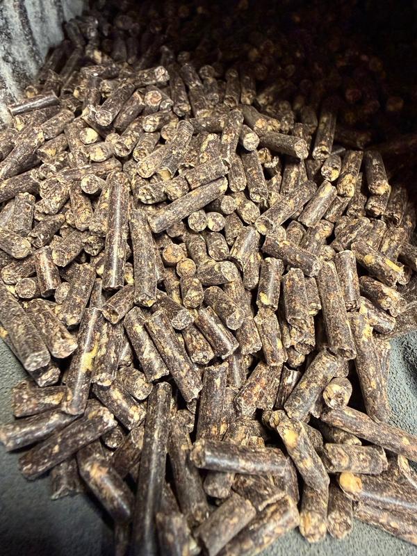 Purina High Octane Fitter 52 Livestock Show Supplement Pellets, 40-lb ...