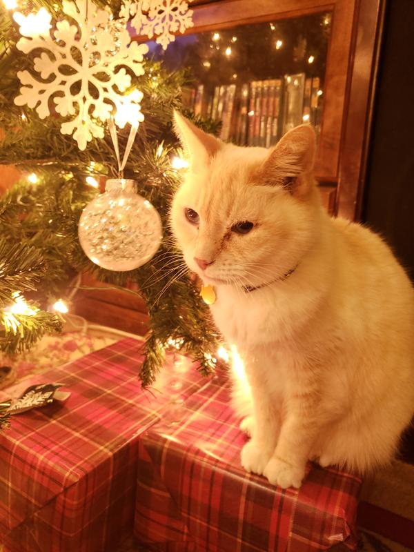 Otis, 20 years old.