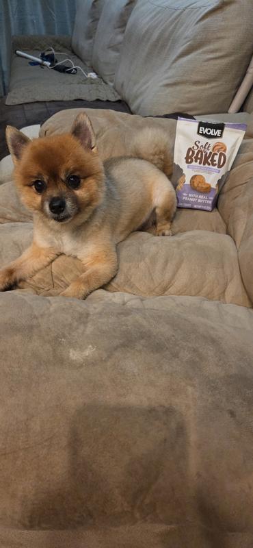 Jax loving his treats