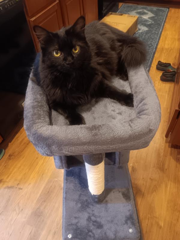 Raven has claimed it