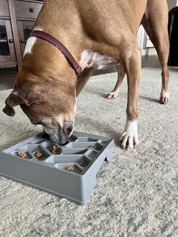 Slow feeder dog bowl for flat faced dogs new arrivals