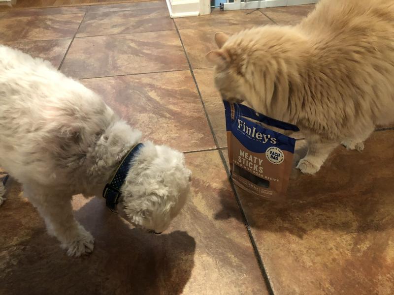 My feline friend Chloe wants one!