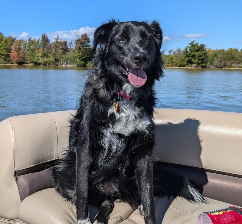 Isobel loves her boat