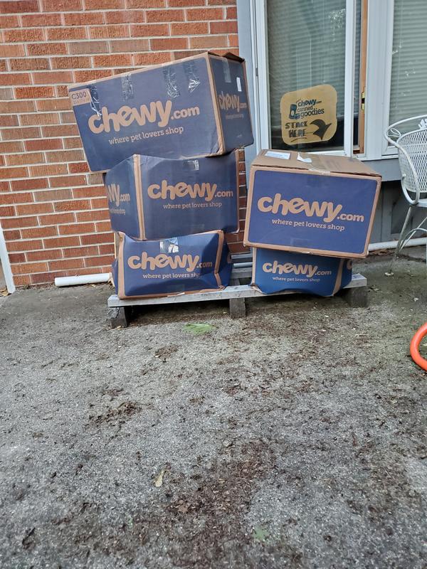 Careless, ridiculous, and unacceptable!