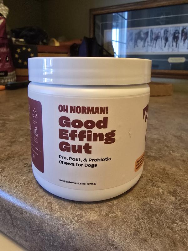 OH NORMAN GOOD EFFING GUT,VIRGIL WAITING PATIENTLY FOR HIS GUT SUPPLEMENT, YUMMY !