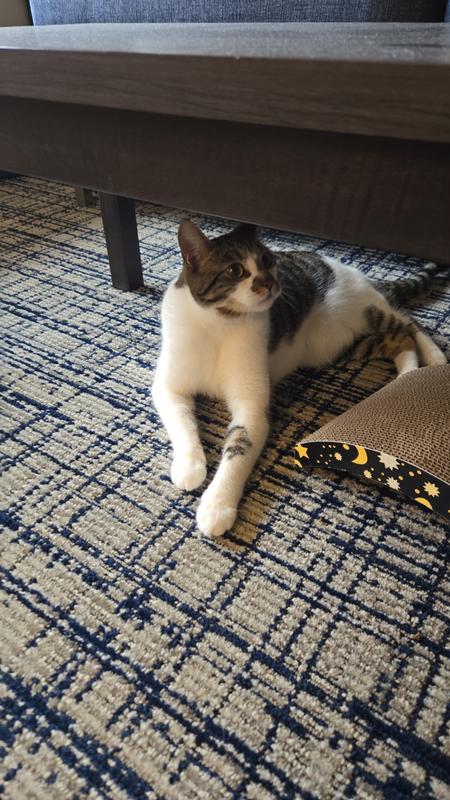 He's not fast, just big.