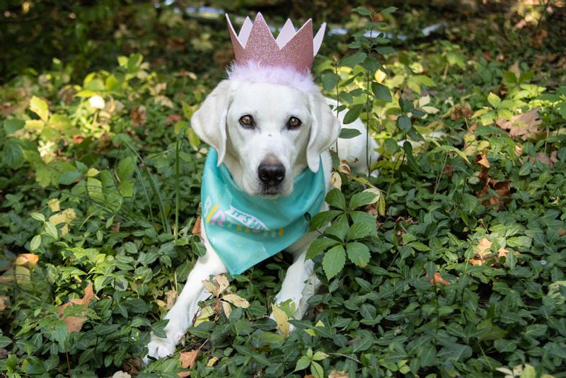 Birthday Princess Euka
