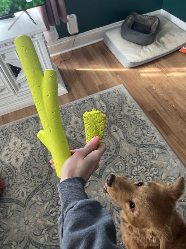 HYPER PET Hyper Chewz Dog Chew Toy, Stick