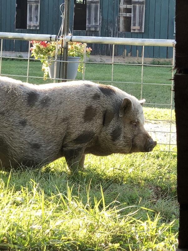 Helps Ron Swineson stay healthy with his sexy figure