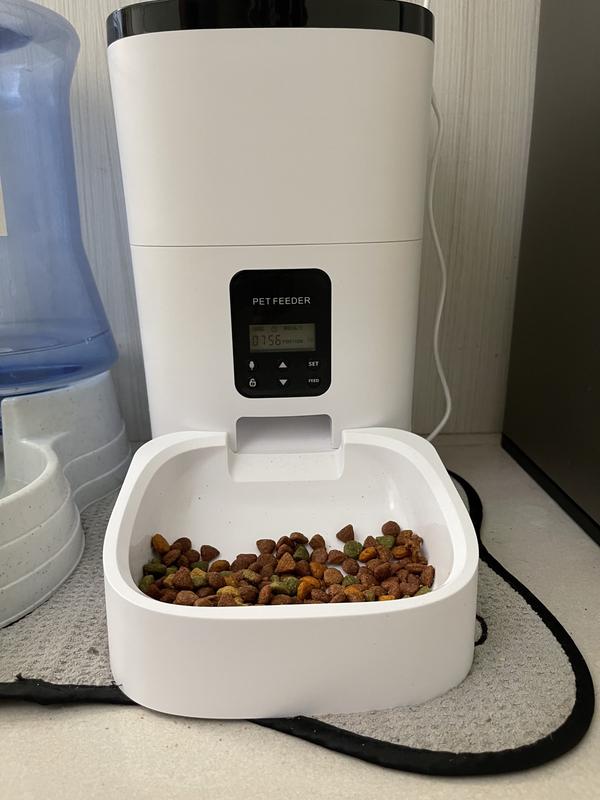 PETDIARY Automatic Dog & Cat Feeder, White, Medium