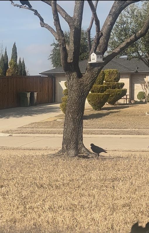 One of them especially loves the peanuts.