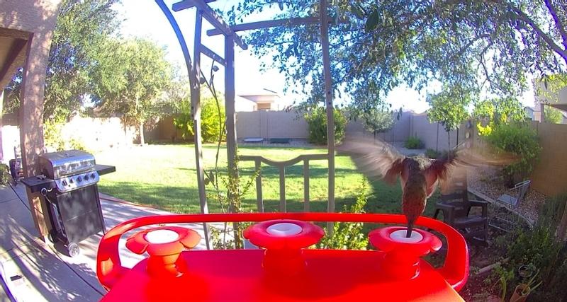 The entire FeatherSnap image.